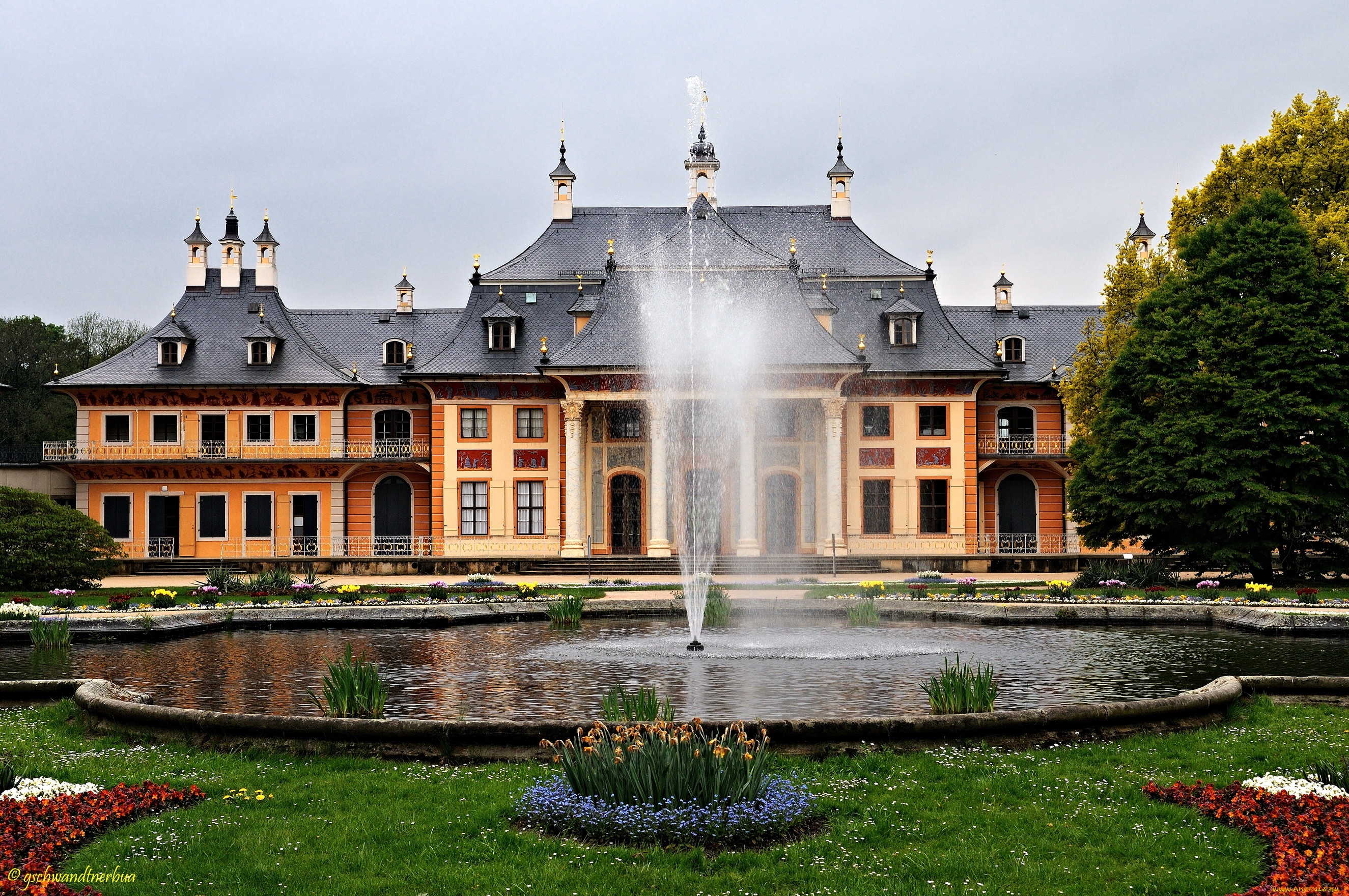 , , , , , , , , pillnitz, 
